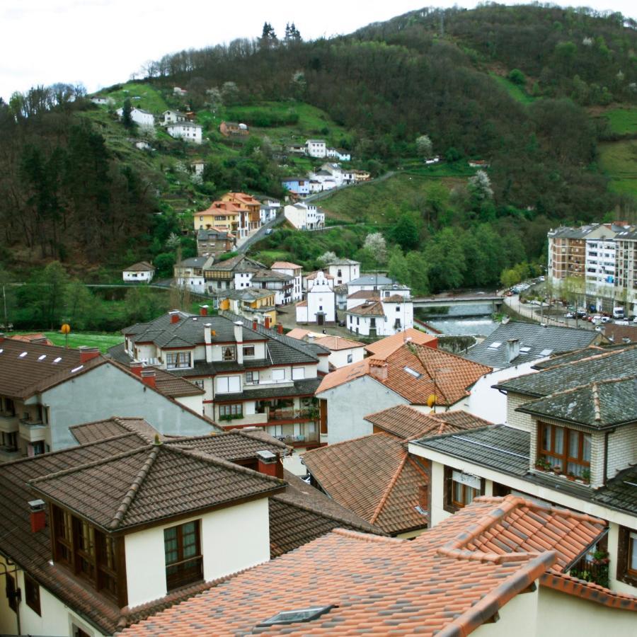 Apartment La Refierta Cangas De Narcea